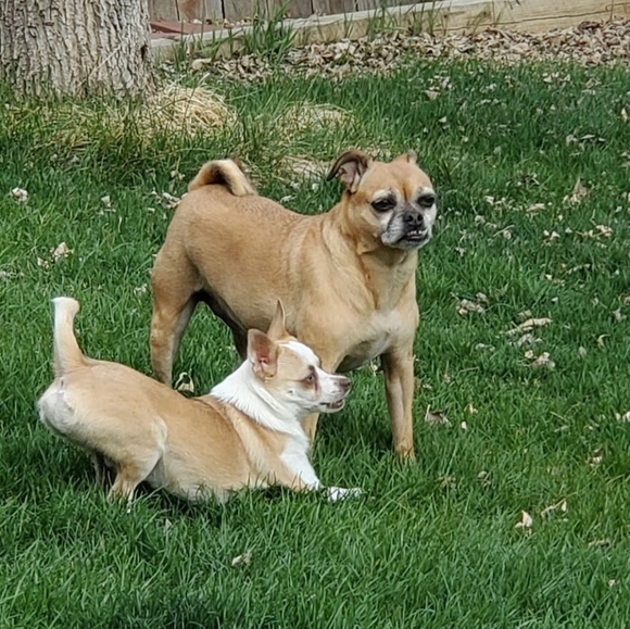 Meet your Posher, Jen - Picture 10 of 10